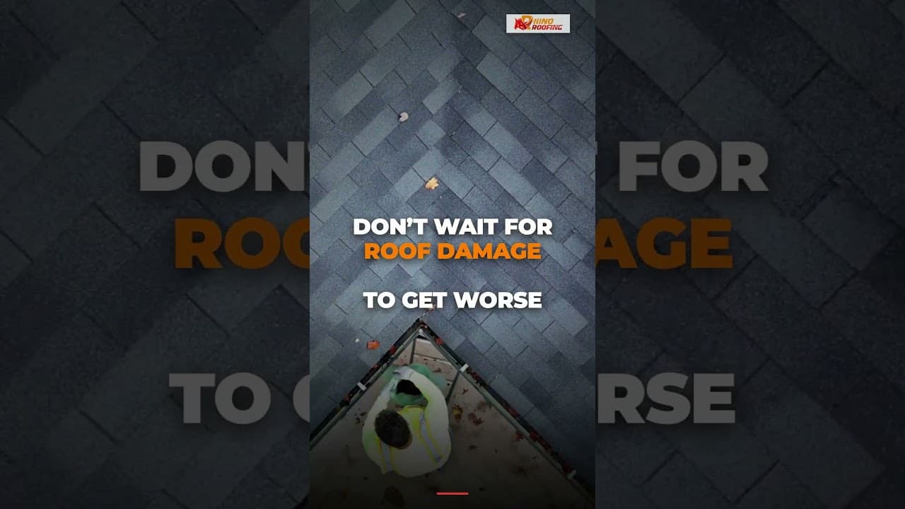 Rhino Roofing Sarasota -Ad